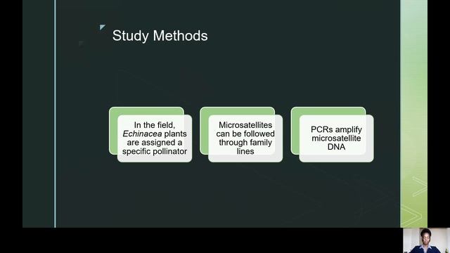 Impact of Pollinator Type on Reproduction of Echinacea angustifolia смотреть онлайн
