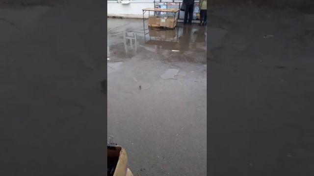 воронежская область город калач рынок смотреть онлайн