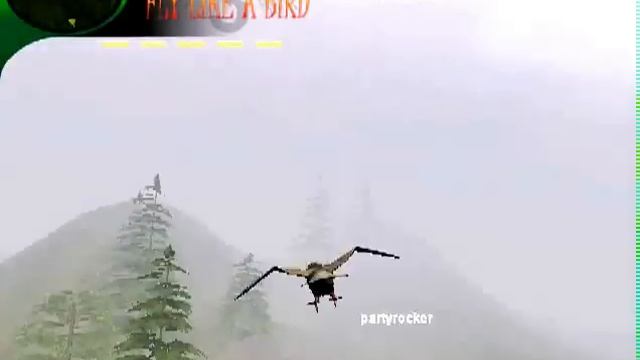 fly like a bird 3 immortal glitch bad news.flv смотреть онлайн