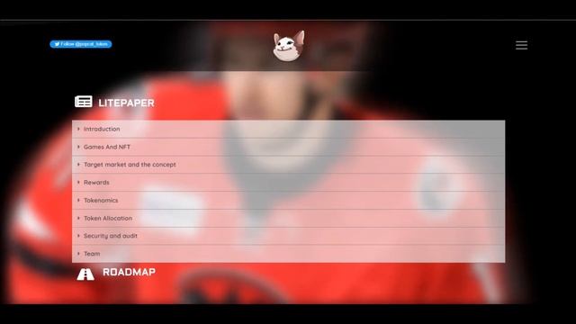 Popcat — новый мем токен PCAT — Обзор смотреть онлайн