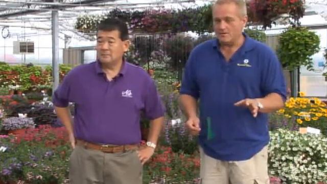 Al's Plant 2009 Trials смотреть онлайн