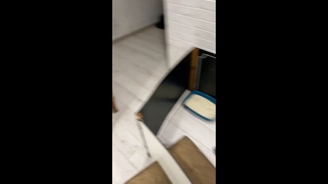 Манеж для котят своими руками смотреть онлайн