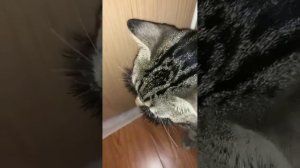 Ты: «куда пропали деньги с карты?»
