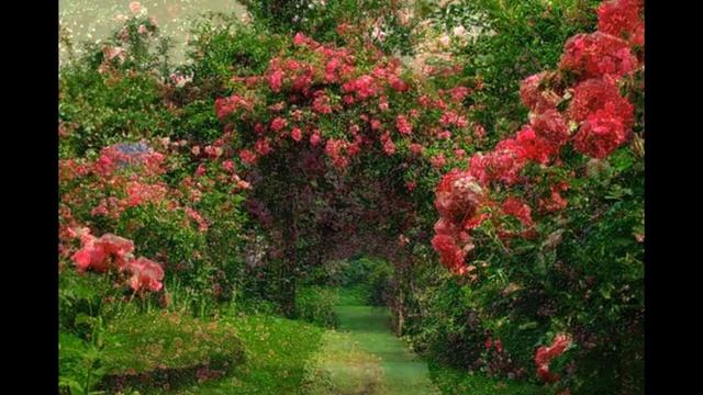 "Enchanted Garden" for bassoon and string trio by Howard J. Buss смотреть онлайн