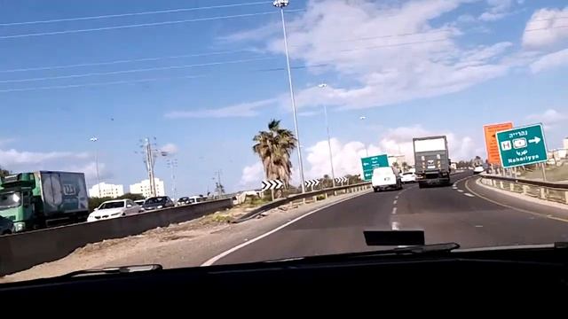 Забор из Кактуса Израиль