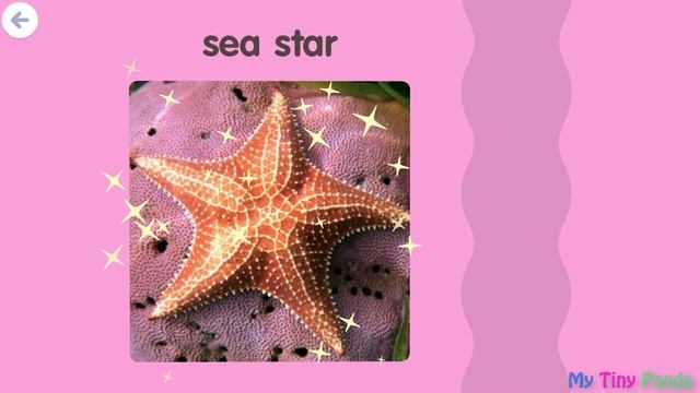 Sago Mini School - Undersea Adventure & Ocean Pet - Mini Games For Kids смотреть онлайн