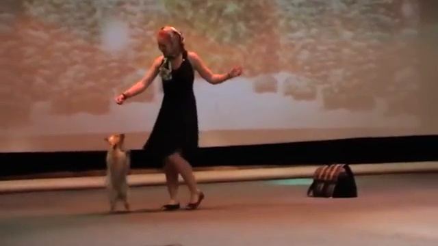 Мыльникова Екатерина и Риша Фристайл Дебют 3 место. смотреть онлайн