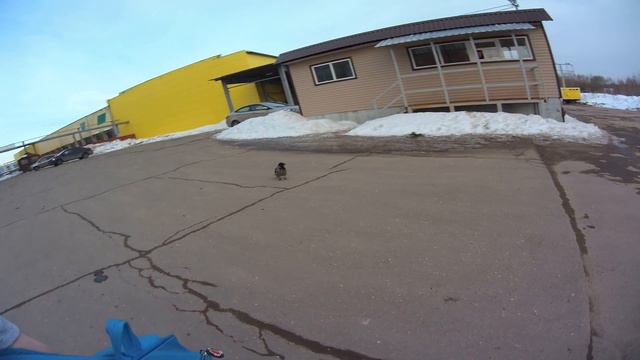 ШОК ворона контратакует смотреть онлайн