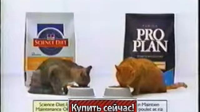 Pro Plan полноценный корм для кошек Pro Plan смотреть онлайн