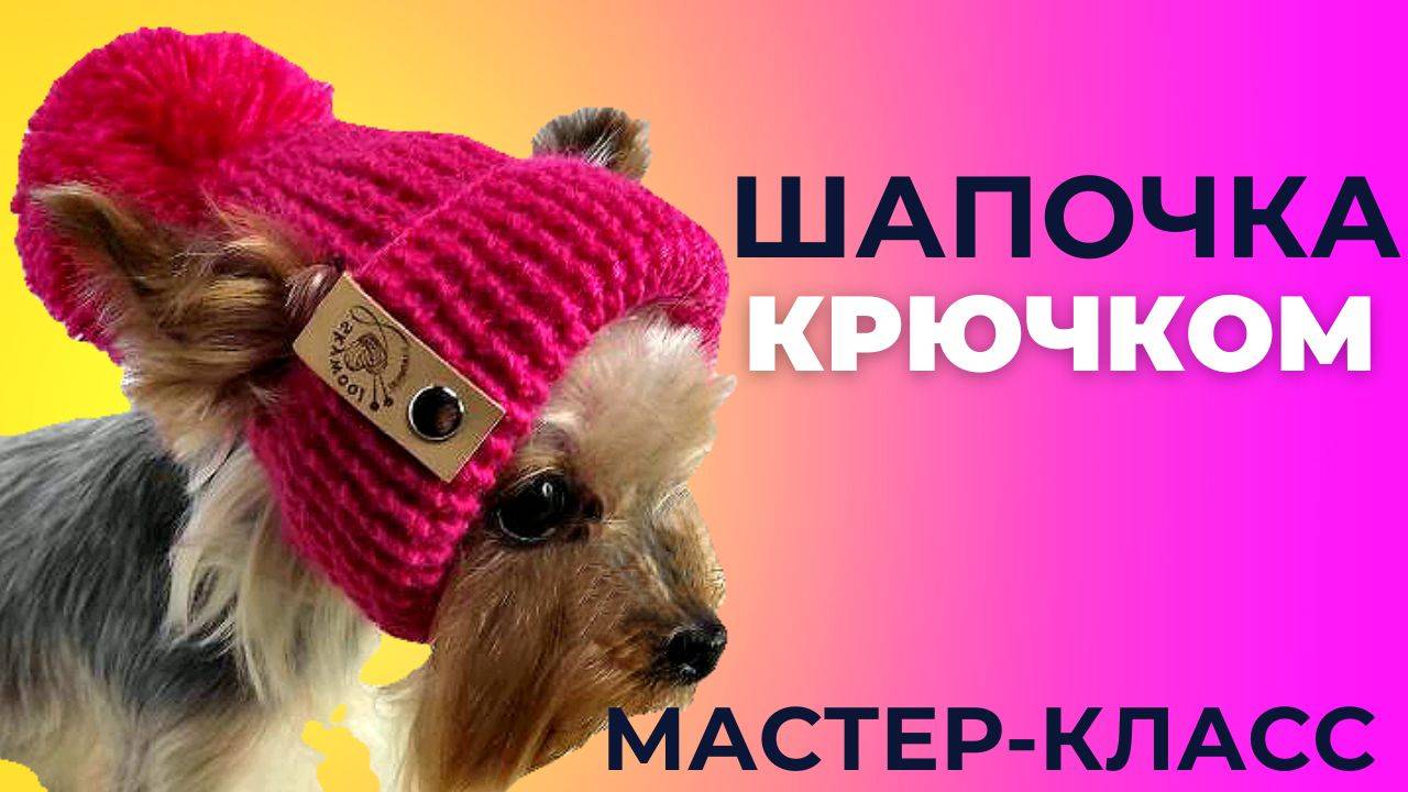 Шапочка для собаки крючком: Простой и подробный мастер-класс смотреть онлайн