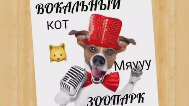 Вокальный ЗООПАРК ?Кот?Микст? смотреть онлайн