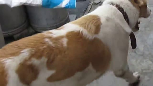 Первое знакомство отца с дочерью.