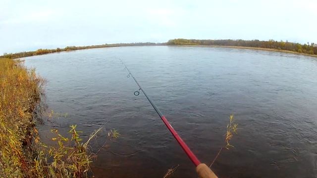 БОЛЬШОЙ ТАЙМЕНЬ И МАЛЕНЬКИЙ ХАРИУС))) матов много детей убрать +18 смотреть онлайн
