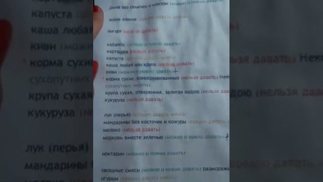 Что можно а что нельзя давать сухопутным черепахам смотреть онлайн