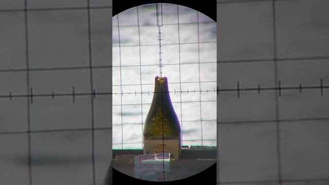 PCP пневматика Dobermann