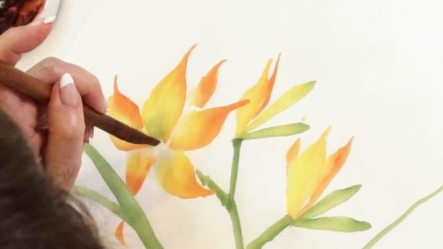 Painting Daylilies смотреть онлайн