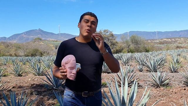 Los beneficios del agave смотреть онлайн