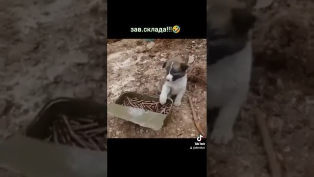 завсклада прапор? смотреть онлайн