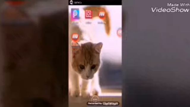Первое видео+обзор игры angle of stick смотреть онлайн