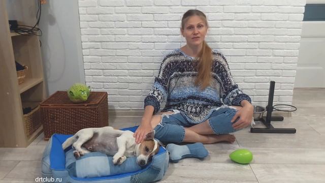 КАК ПРИУЧИТЬ СОБАКУ к КЛЕТКЕ/Ошибки приучения собаки к клетке/Как выбрать клетку для собаки смотреть онлайн