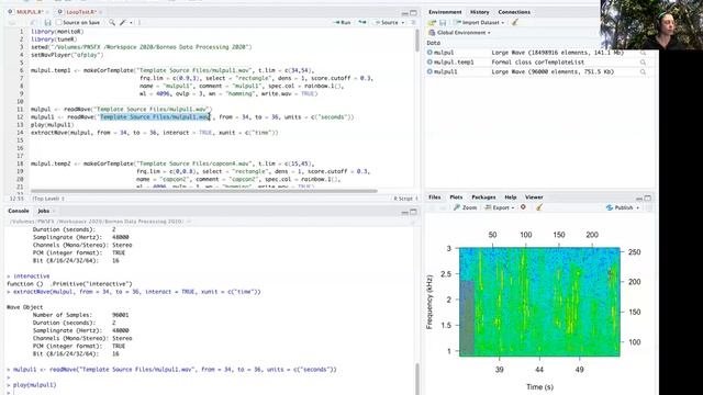 Using R to detect bird vocalizations: Listening to wav files in R for template creation смотреть онлайн