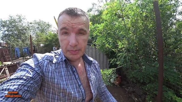Куда дели козлят? И сколько коза дает молока? смотреть онлайн
