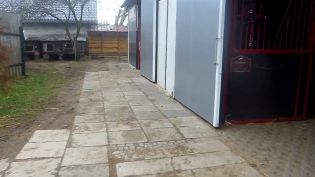 Польща коняча робота на кінних стайнях, Авгієві конюшні смотреть онлайн