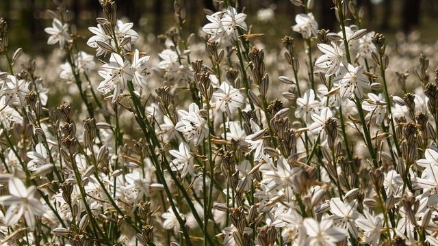 FDR-AX53 REVIEW PHOTOS смотреть онлайн