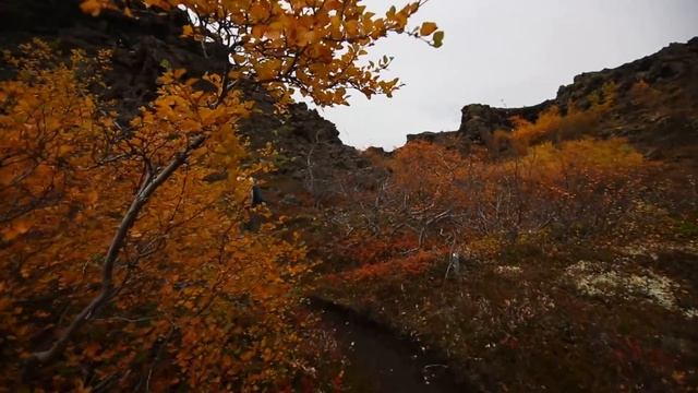 THE DEVIL'S CASTLE смотреть онлайн