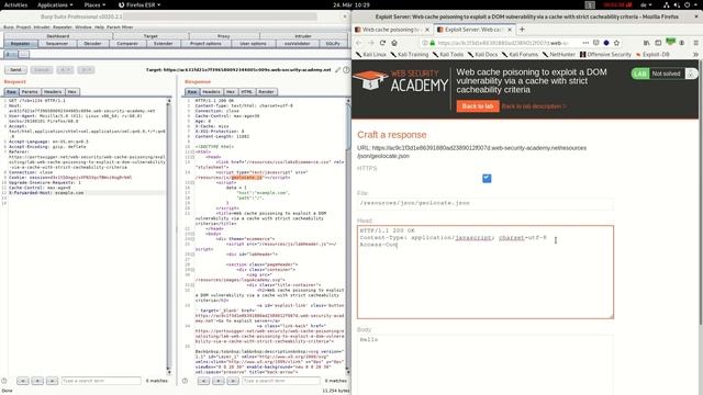 Web cache poisoning to exploit a DOM ... (Video solution) смотреть онлайн