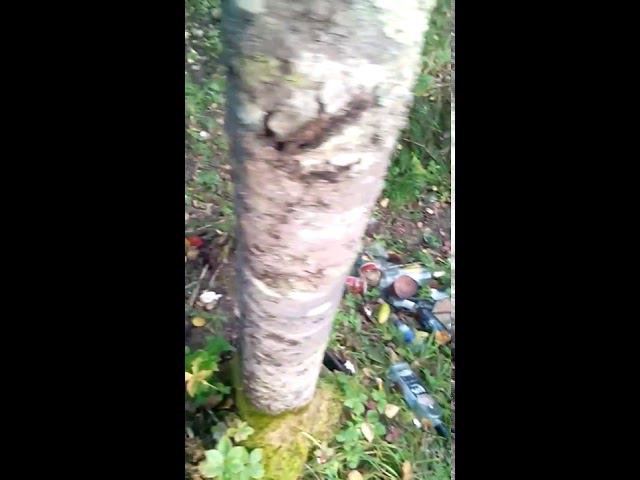 все люди свиньи (Часть первая) смотреть онлайн