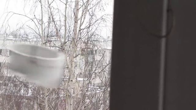 три черных синицы и ободрыш с клювом деффективным смотреть онлайн