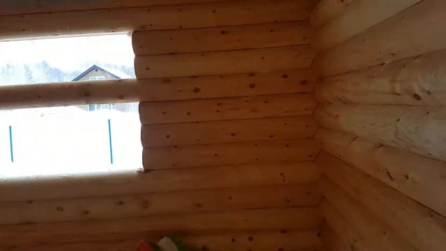 Сруб из кедра 240 в п. Близкий Новосибирск смотреть онлайн