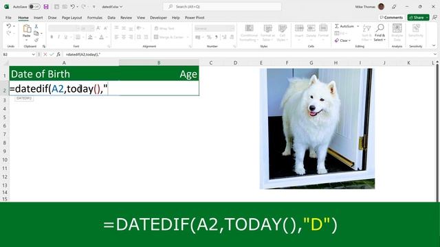 Calculate Age From a Date of Birth in Excel (DATEDIF Function) смотреть онлайн