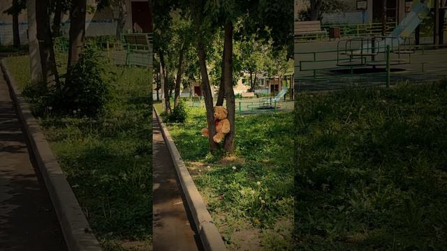 Брошенный мишка смотреть онлайн