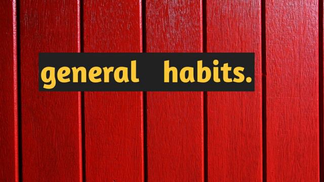 #IF CLAUSE English grammar| conditional sentences| Lesson- 229 Rajula English Lessons смотреть онлайн