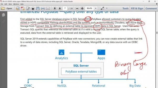 Microsoft SQL Server 2019