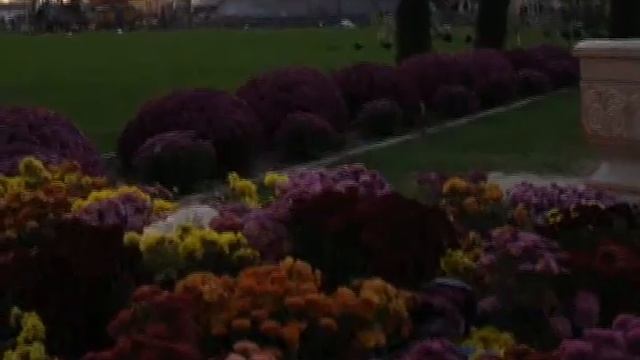 Шымкент, парк Независимости РК смотреть онлайн