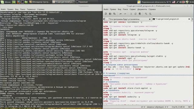 Настройка Линукс Минт 18.1-3. Установка программ с помощью скрипта. смотреть онлайн