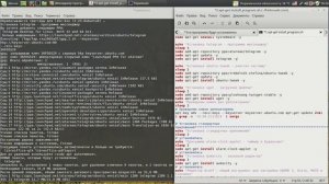 Настройка Линукс Минт 18.1-3. Установка программ с помощью скрипта.