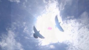 Алика Смехова. МОЯ МЕЧТА.