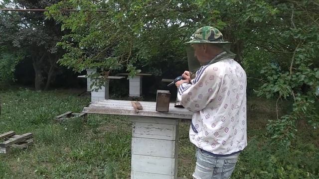Начинаем отбор меда белой акации с верхних магазинов. смотреть онлайн
