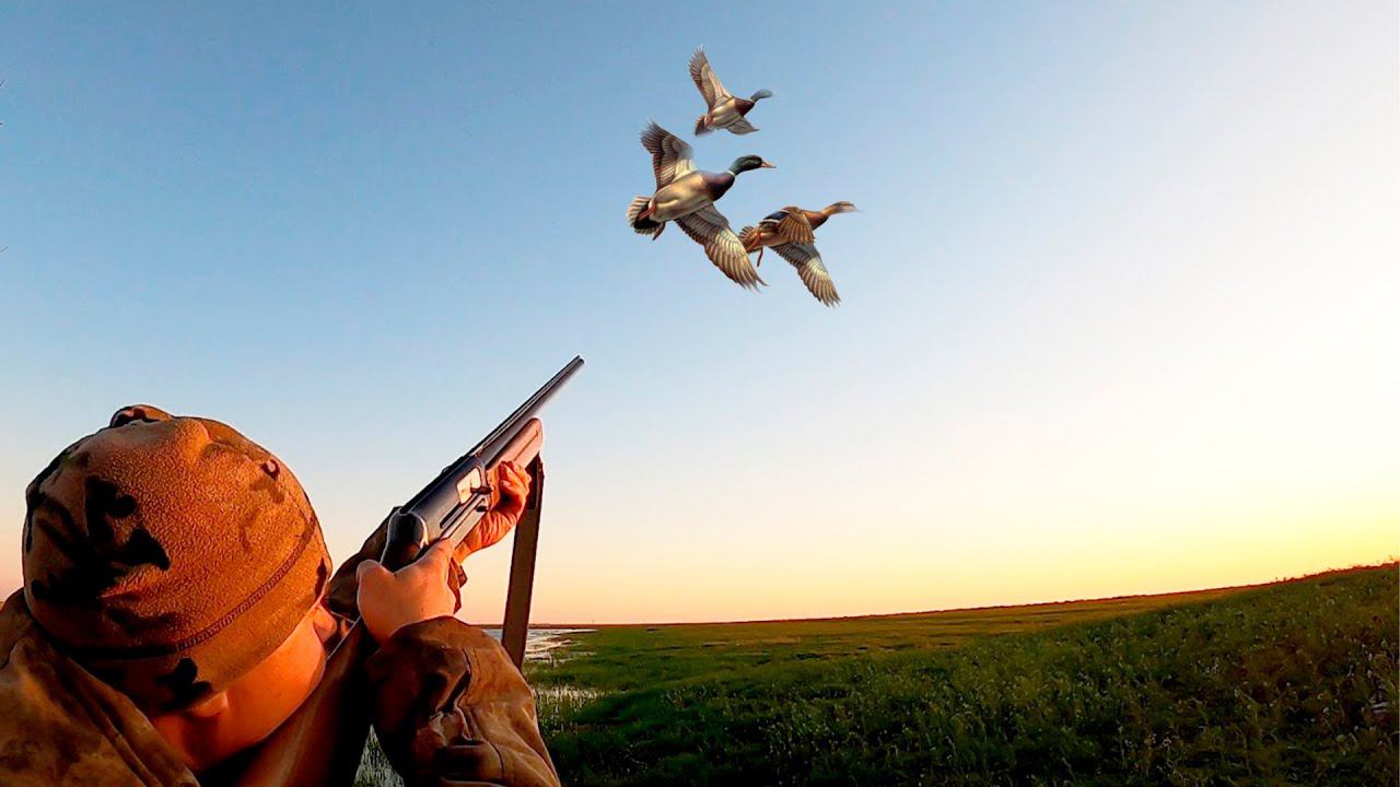 Весенняя охота. Лучшие налеты 2024 открытие охоты. С полем! смотреть онлайн