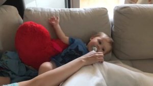 Сорока ворона