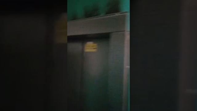 Старый дом и мусоропровод