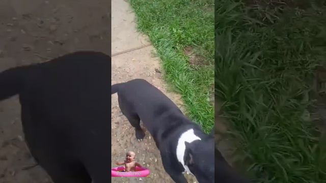 Два стаффа, одна из которых 16 летняя 🤗👍 смотреть онлайн