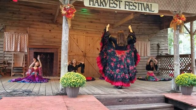 Цыганский танец. Вудвил. 2018. смотреть онлайн