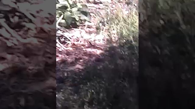 LAOA смотреть онлайн