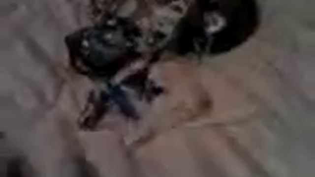 Мои находки 2 смотреть онлайн