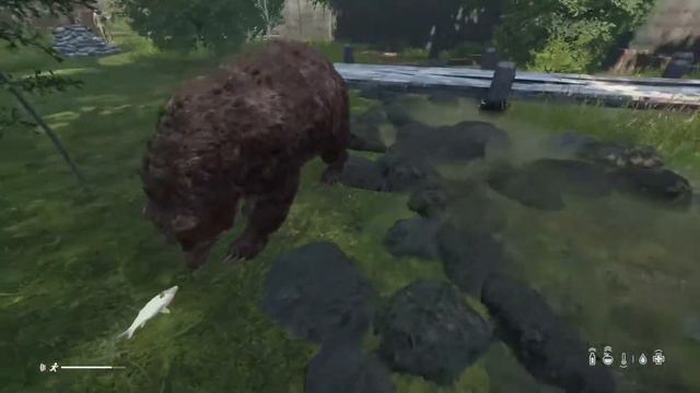 DayZ friendly bear смотреть онлайн